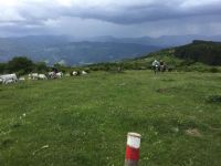 STdEtruschi-P2_22