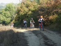 STdEtruschi-P3_19